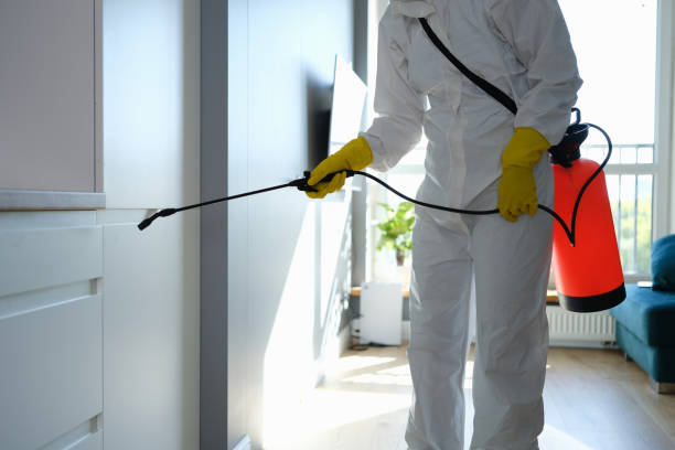 Best Mold Removal Near Me  in Ferrum, VA
