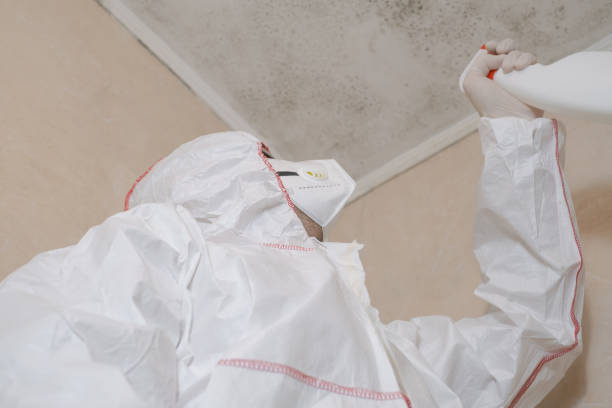 Best Local Mold Removal Service  in Ferrum, VA